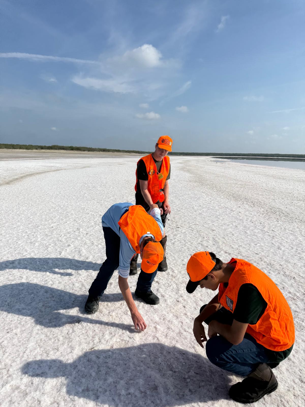 Young people in orange vests examining the ground beside open water